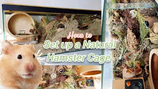 How to Set up a Natural Hamster Cage  Upgrading HAMSTERs German Inspired Enclosure 🐹🍄🌿 [upl. by Haggerty]