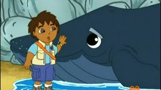 Go Diego Go  1x04  Diego Saves the Humpback Whale Best Moment Plus [upl. by Kimberli]