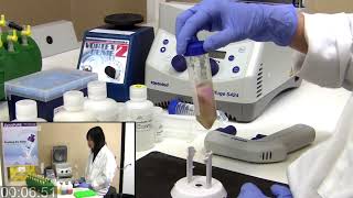 Midi amp Maxi Plasmid DNA Isolation in 18 Mins with ZymoPURE™ [upl. by Inwat]