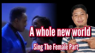 A whole New World  Peabo Bryson amp Regina Belle Male Part Only [upl. by Ellevehs509]