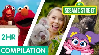 Sesame Street Animals for Kids Compilation  2 Hours [upl. by Assetak]