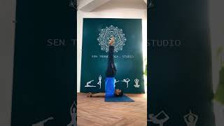 Sarvang Asana  Shoulder Stand Pose  Forward Bending  Varinder Singh [upl. by Heffron]