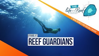 Lady Elliot Island  EP7  LIFE ON THE REEF  Reef Guardians Ocean Docuseries 4K [upl. by Haidedej]