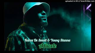 kabza de small  Adiwele ft Young stunna official Audio [upl. by Shaffer]