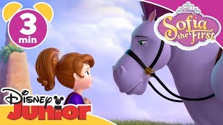 Sofia The First  Best Unicorn Friends 🦄 Magical Moment  Disney Kids [upl. by Sievert]