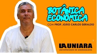 Botânica econômica  Biologia [upl. by Geordie]