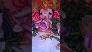 chagantivinayakudubhakti devotional cowlove ganapati tamil motivation astrology [upl. by Liahcim]