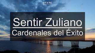 Sentir Zuliano  Cardenales del Éxito  Puente sobre el Lago de Maracaibo [upl. by Louanne509]