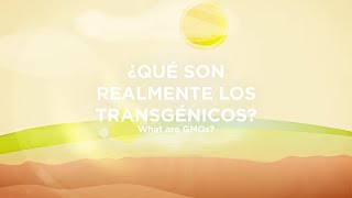 Ciencia animada UPM Qué son los transgénicos [upl. by Orlantha]