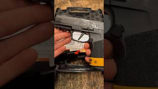 Sig P365 X Macro ASMR [upl. by Tomasina870]