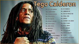 Tego Calderon  Exitos Mix Lo MEJOR EXITOS 2021 [upl. by Richart667]