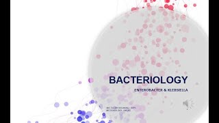 Bacteriology Part 4 Family Enterobacteriaceae Genus Enterobacter and Klebsiella [upl. by Daria]