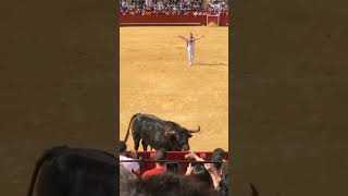 FALLAS EN PLAZA DE TOROS DE VALENCIA [upl. by Veats]