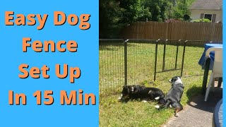 how to make Electric Dog fence cheap [upl. by Akirea]