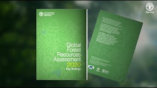 A picture of the world’s forests The Global Forest Resources Assessment 2020 [upl. by Alemak787]