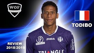 JEANCLAIR TODIBO  Fantastic Goals Skills Assists  Toulouse  20182019 HD [upl. by Saffian757]