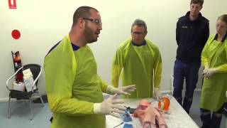 Clamshell Thoracotomy Training [upl. by Udela]