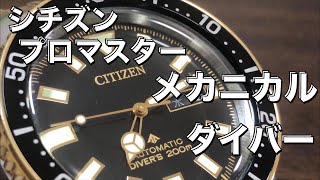 【シチズン】プロマスター メカニカルダイバー200m ヴィンテージ感がたまらない！ [upl. by Gans284]