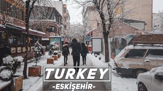 Winter Walk in Turkey Eskisehir  4K [upl. by Eonak]