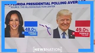 Florida poll shows Harris Trump in tight race  The Hill [upl. by Carry851]