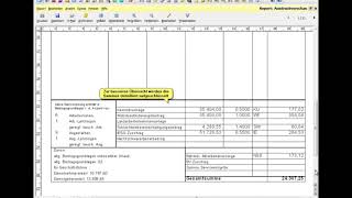 BMD NTCS Lohnverrechnung Reports und Auswertungen [upl. by Truelove353]