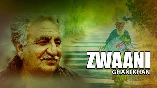 Ghani Khan Ghazal  Na Ba Tool Umar Zwaani We by Moiz Khan [upl. by Harmony]