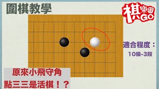 【圍棋教學】原來還有活棋的方法？小飛守角點三三｜適合程度：10Ｋ3段（ＣＣ字幕） [upl. by Urd994]