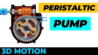 Peristaltic Pump  Motion [upl. by Lawtun]