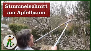 Apfelbaum schneiden  Stummelschnitt [upl. by Herstein]