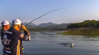 Swimbait Fishing SECRETS Pros Dont Want You to Know [upl. by Frulla]