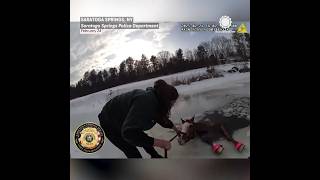 Body Cam Police Save Horse From Icy Lake [upl. by Dara]