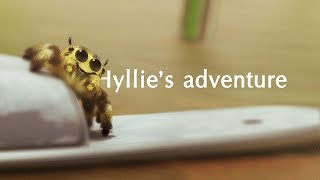 Hyllies adventure animation [upl. by Desberg]