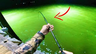 BAFFIN BAY FISHING 2023 FEEDING FRENZY [upl. by Mandal89]