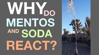 Why Mentos and Soda React [upl. by Maillij]