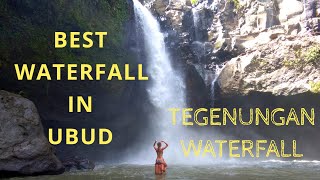 BALIs MOST VISITED WATERFALL  Tegenungan Waterfall in Ubud Indonesia  Bali Tour Part 6 [upl. by Orips]