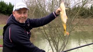 Colmic  Roubasienne nelle Fisheries [upl. by Quiteria]