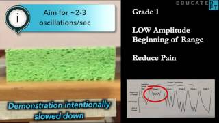 Maitland Mobilization Grading  A Visual Aid [upl. by Enilrad]