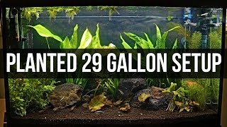 Planted 29 Gallon Setup [upl. by Cynde]