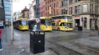 Manchester buses and trams at Piccadilly GardensMosley Street 1st November 2023 bus manchester [upl. by Nij]