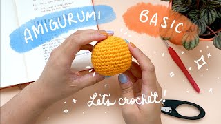 Amigurumi Basics for Beginners Amigurumi 101  Amigurumi Tutorial [upl. by Thomsen385]