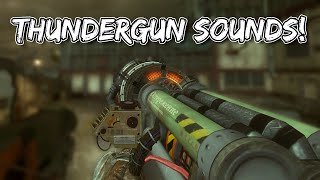 COD Zombies Thundergun Sounds [upl. by Ellerahs929]