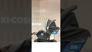 Cosco Light N Comfy Car Seat How To Find Expiration Date amp Model Info [upl. by Raila]