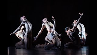 Wiener Staatsballett  Begegnungen [upl. by Garmaise]