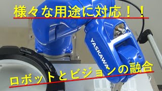 小型産業用ロボットMotoMINIビジョンシステム デモ動画 [upl. by Jerusalem]