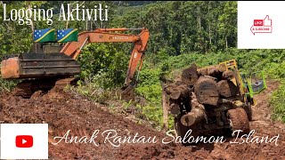 Bahaya Jalan Masih BasahLogging Truck Jatuh Ke Parit Hampir TerbalikBukit Turunan Licin [upl. by Studdard]