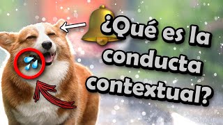 📕 LA FUNCIÓN CONTEXTUAL EN PSICOLOGÍA 🥘➡️🔔➡️🐺➡️💦 [upl. by Avilo]