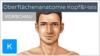 Oberflächenanatomie Kopf und Hals Vorschau  Kenhub [upl. by Cointon435]