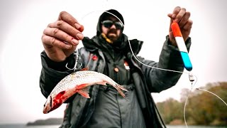 Mit Köderfisch und Pose auf Riesenhechte unglaublicher Erfolg [upl. by Berget577]