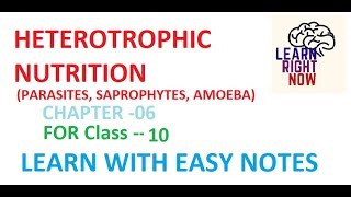 HETEROTROPHIC NUTRITION CLASS 10 Chapter 6 [upl. by Etnauq]