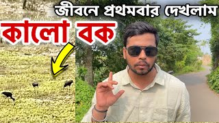 কালো বক Exclusive Video footage  জীবনে প্রথমবার কালোবক দেখলাম চাকদা গঙ্গার পাড়ে  Black Crane [upl. by Ragnar]